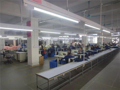 兩會代表談紡織服裝現(xiàn)狀及發(fā)展建議